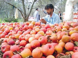 Securing agriculture in Baluchistan